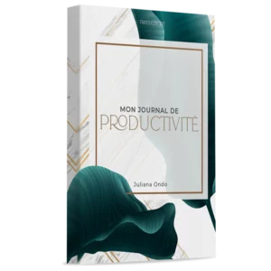 Mon journal de productivité